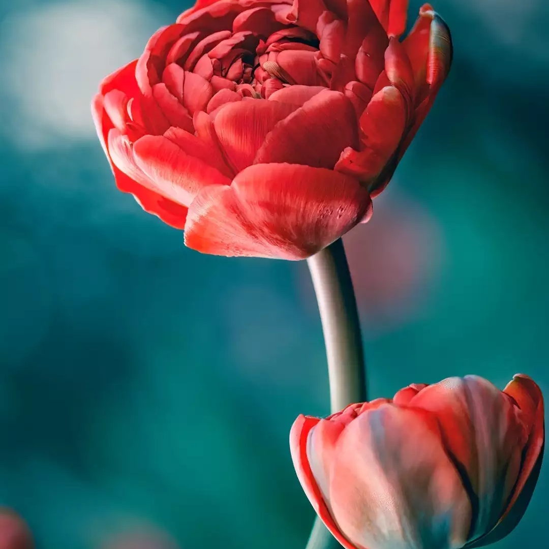 爱吃水饺的阿姨(^_^)