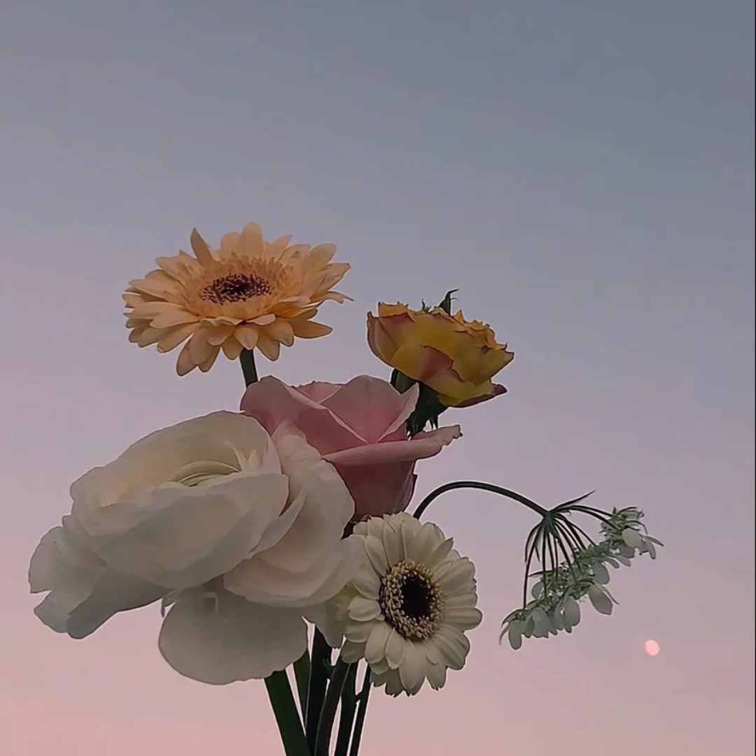 清风暖阳喜洋洋