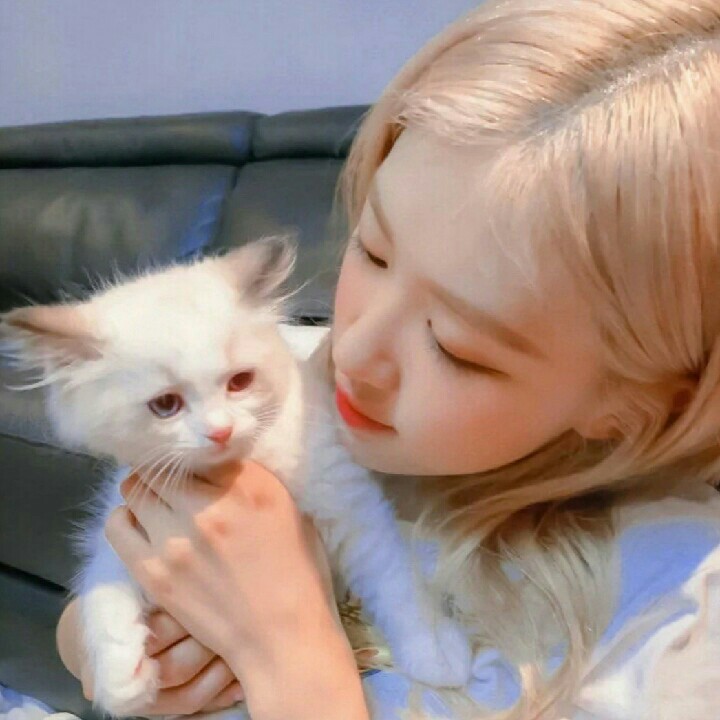 太可爱了被抓起来了