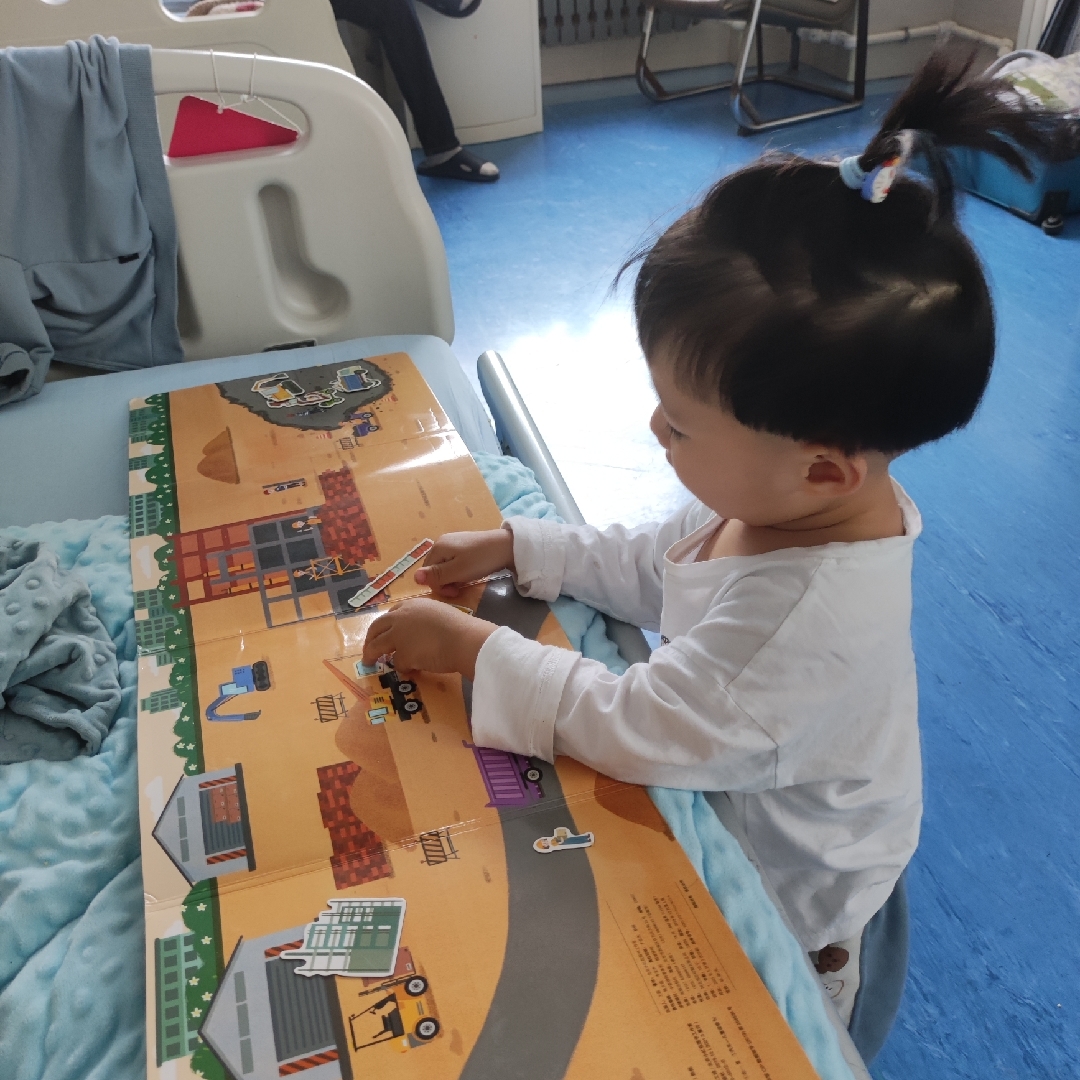 找回蛋蛋的小七