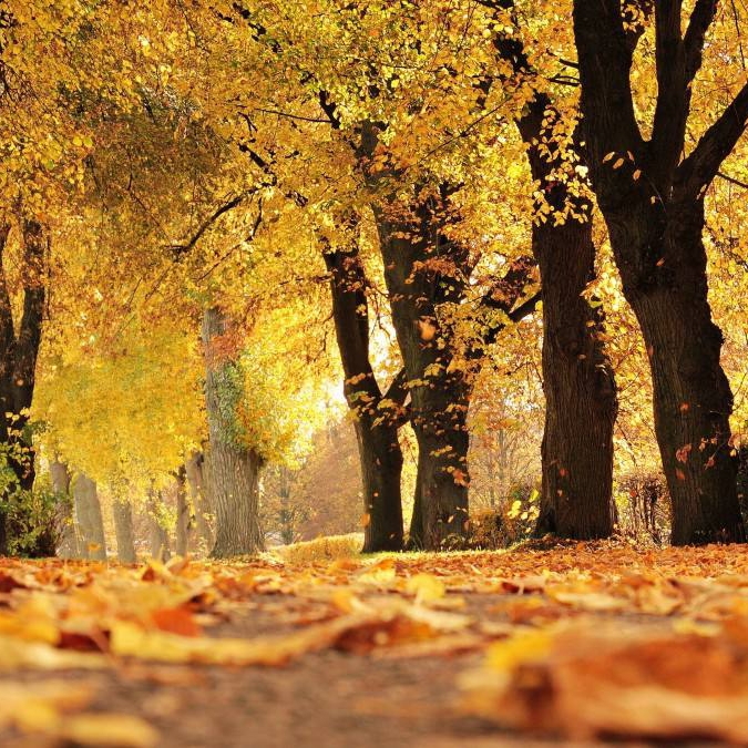 就是那么拽uuuuu