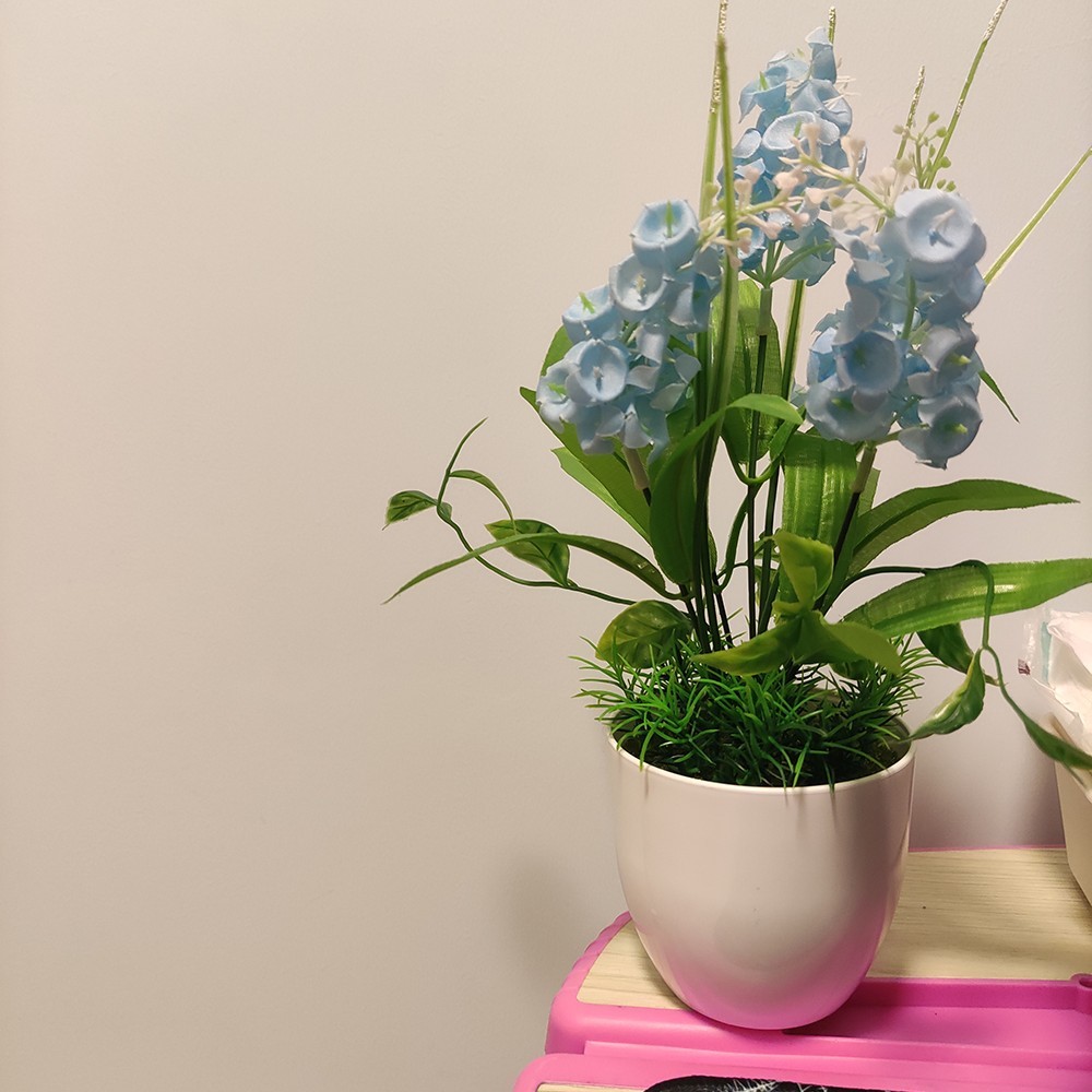 爱吃咸蛋蒸肉的甜椒