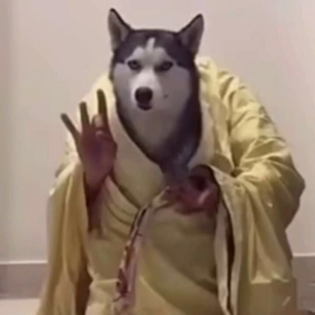 爱吃百叶蘸酱的泡泡球