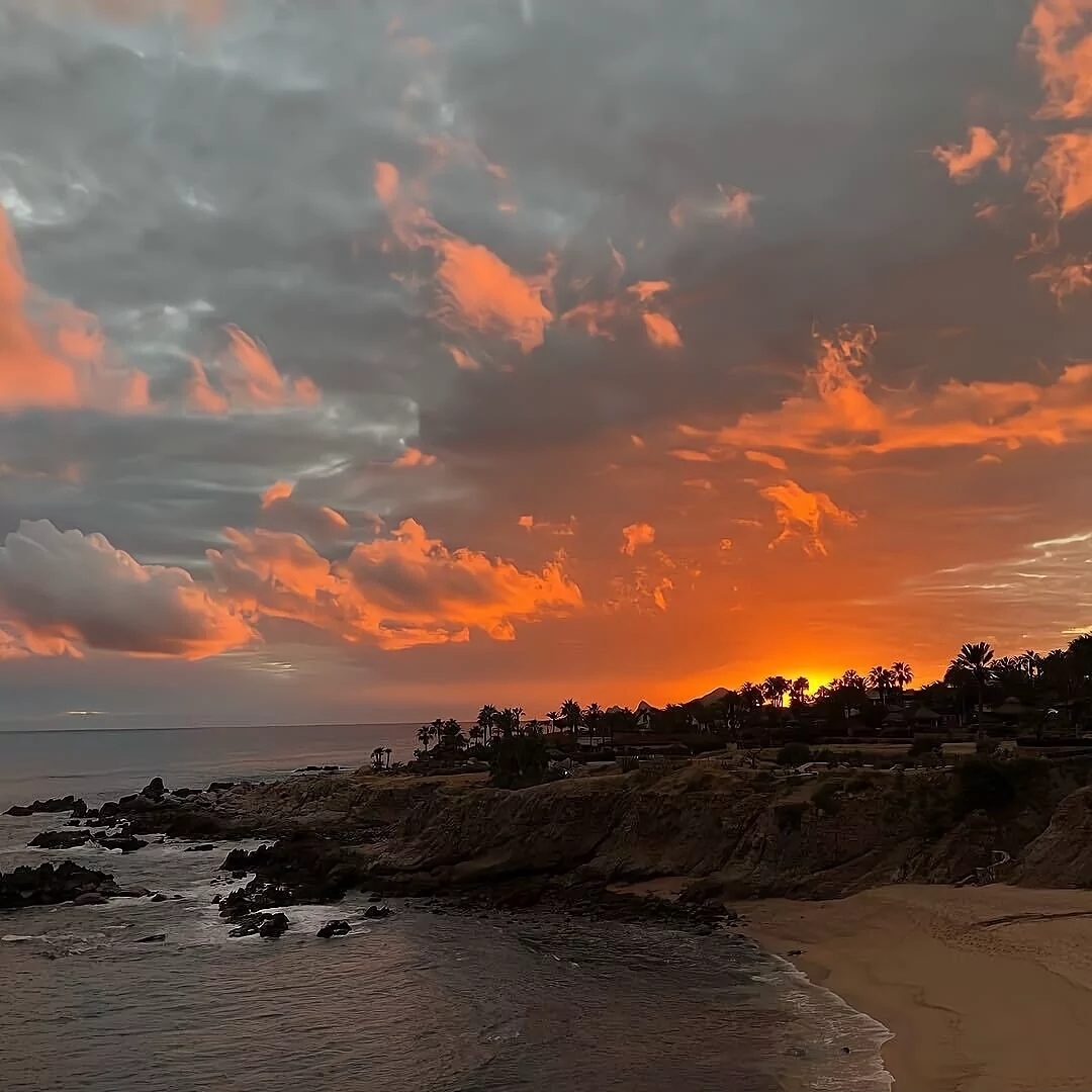 繁华落烬戏如命