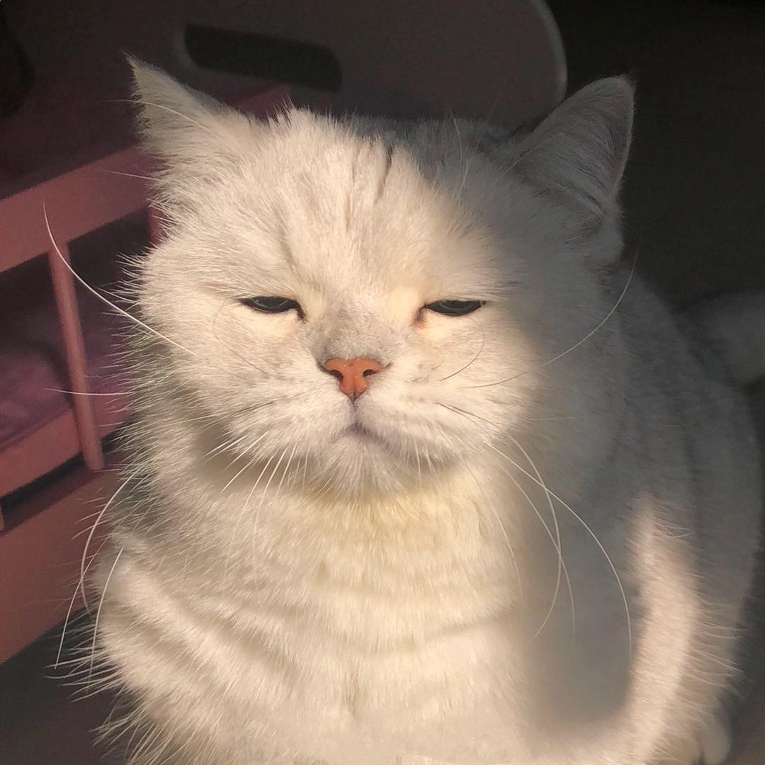 每月都在桃儿消费