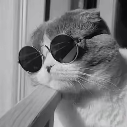 谁说看就要买啦