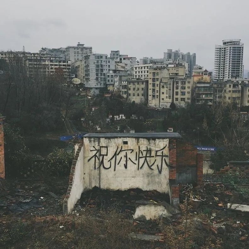 墨蓝的相枣一号