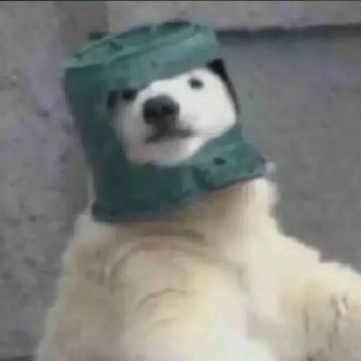 爱吃柚子酸奶的荞麦