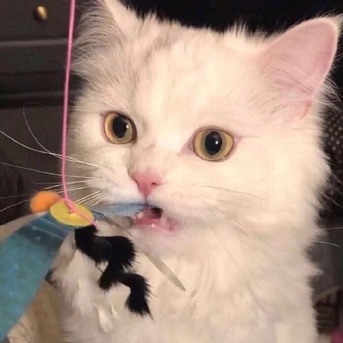 一上课就打瞌睡