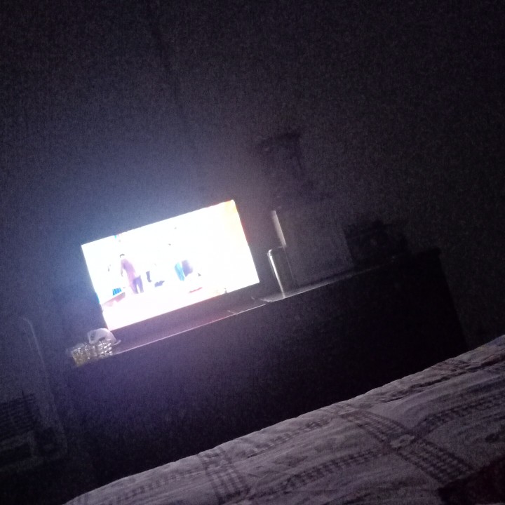 爱吃丸子披萨的椰子