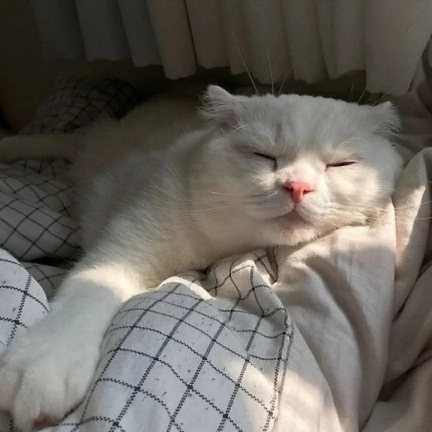 我只喝一分熟的水_