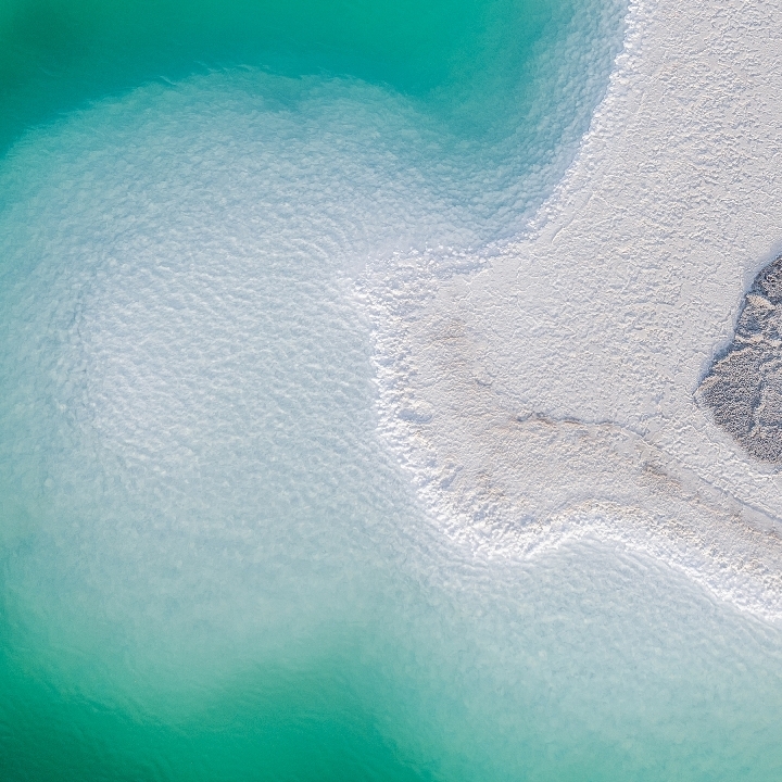 爱吃一品海参的墨轩