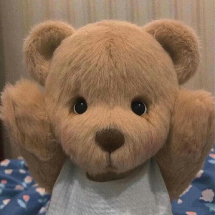 爱吃桃仁丝瓜的锦鲤