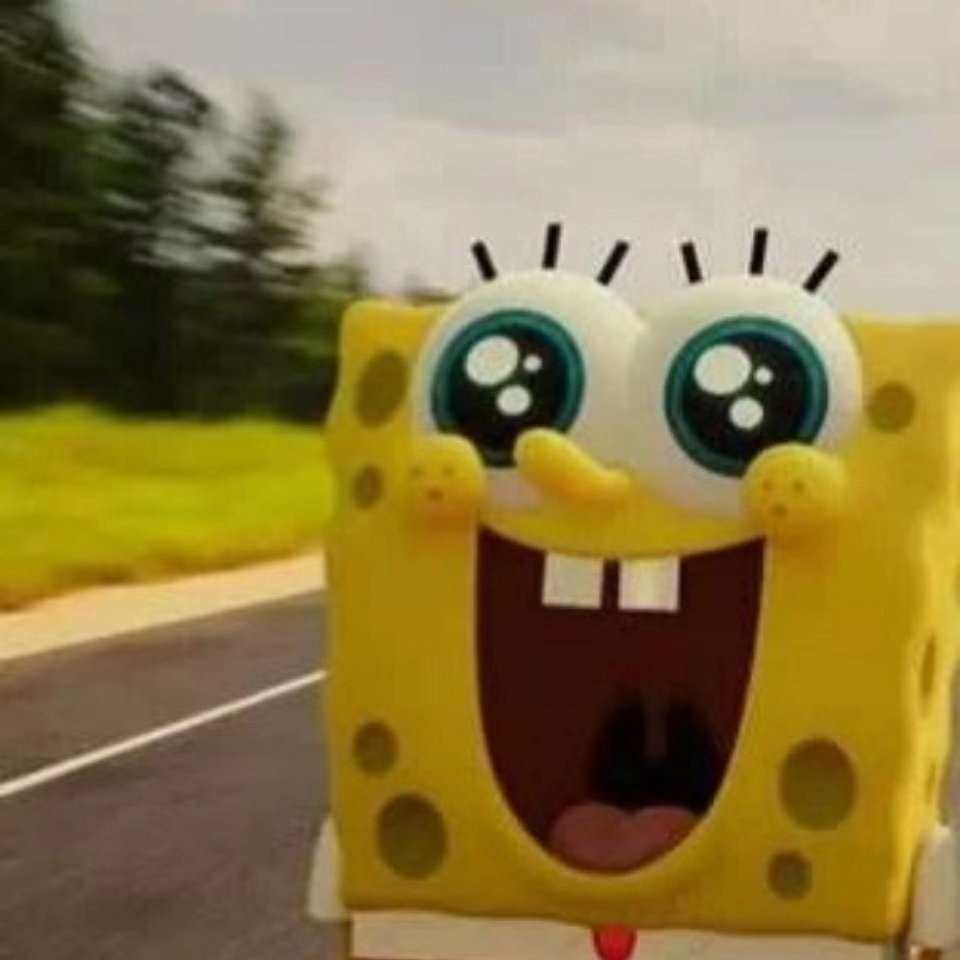 深紫色的异子蓬属