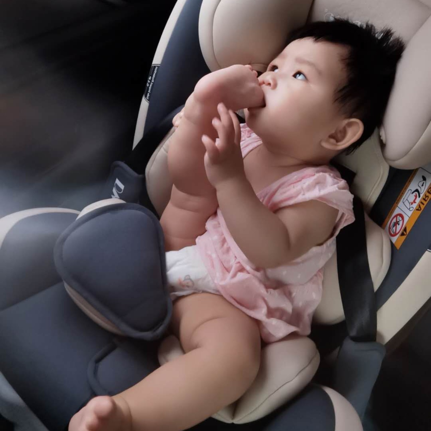 爱吃开胃木耳的紫龙