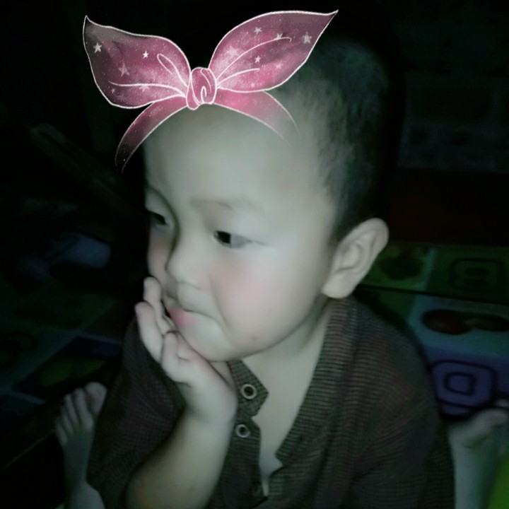 爱吃糟香带鱼的偷心盗贼