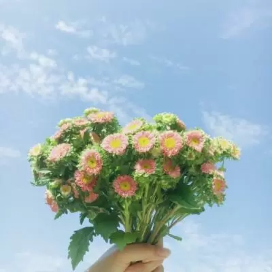 丁香花