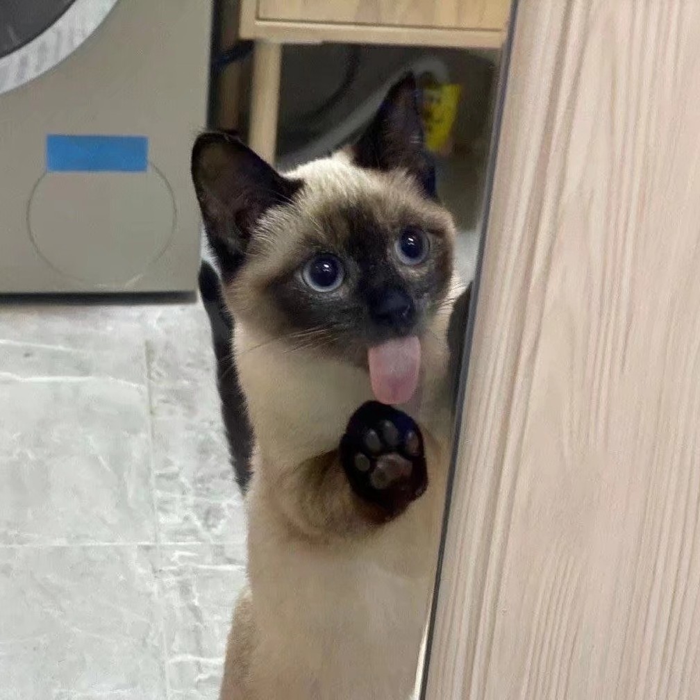 小戴小戴漂亮可爱