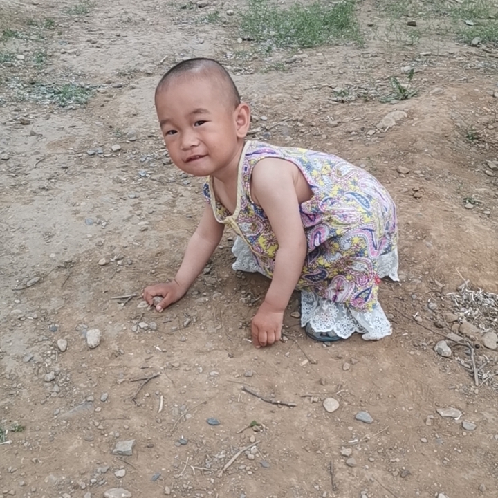 红彤彤的苹熟了