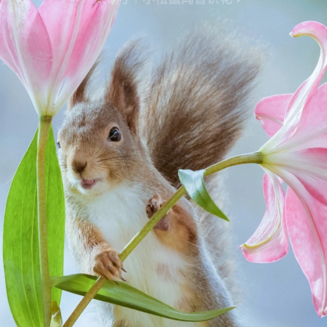 一般人3452嘿嘿嘿