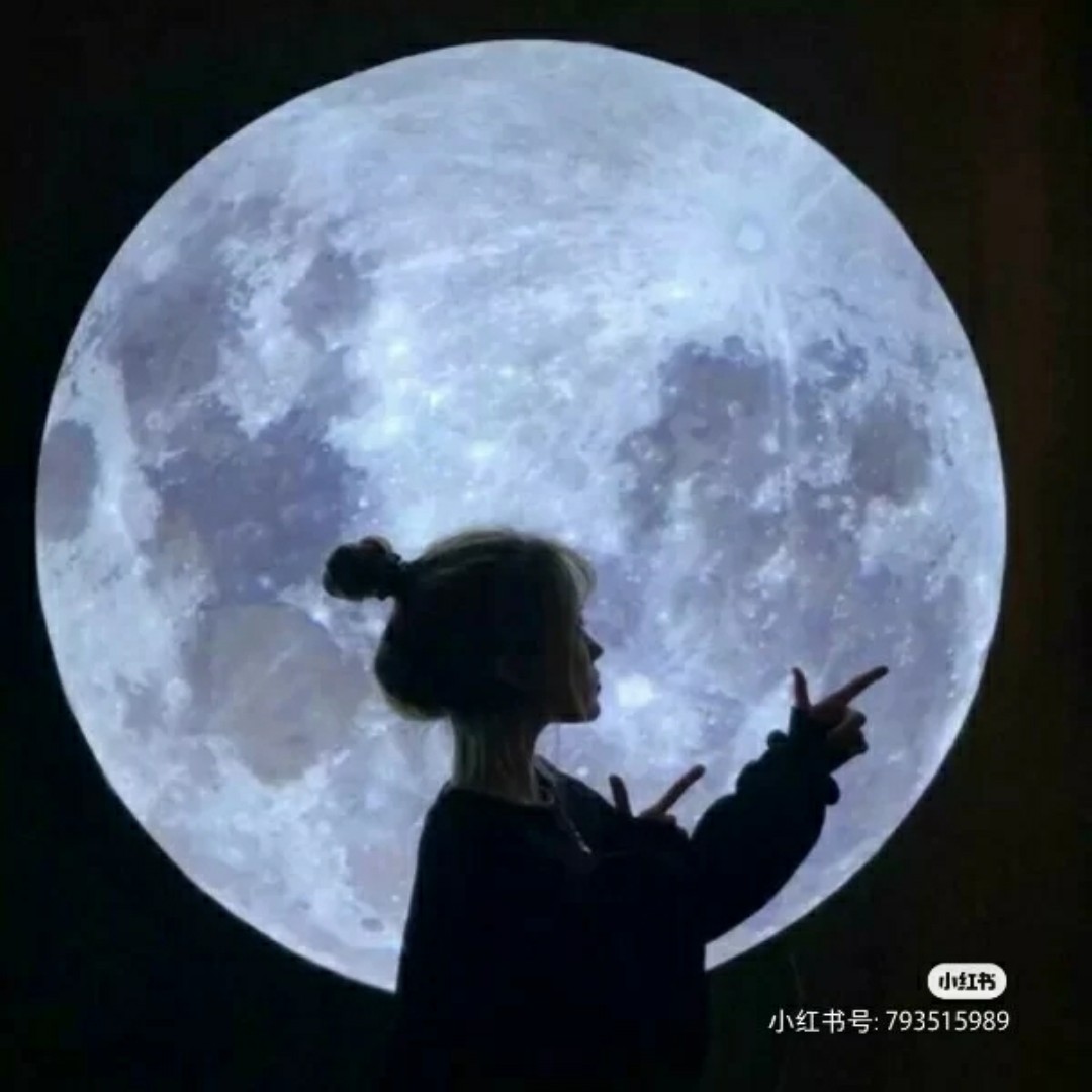 爱吃蛋挞的小诗诗