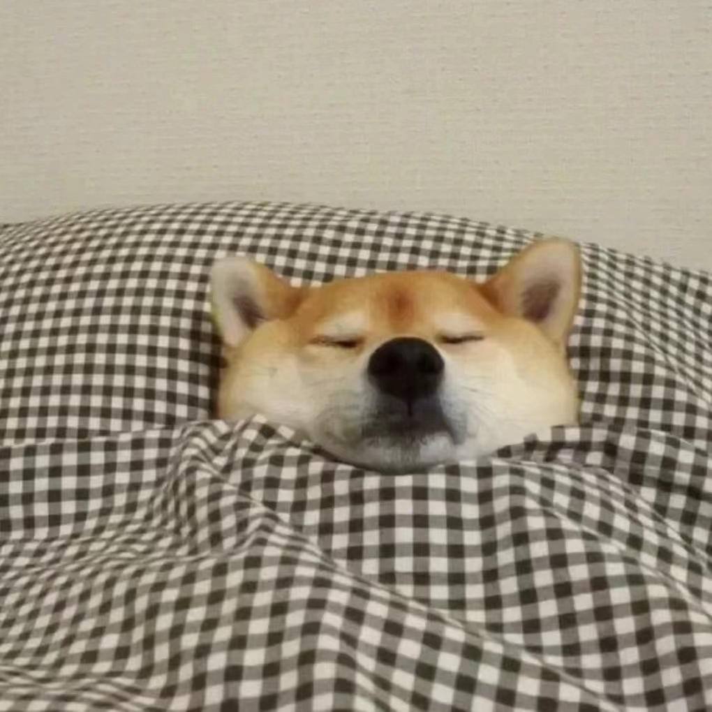 爱吃树莓慕斯的迪迦