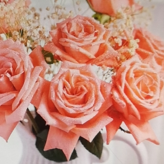 爱哼歌的小豆豆