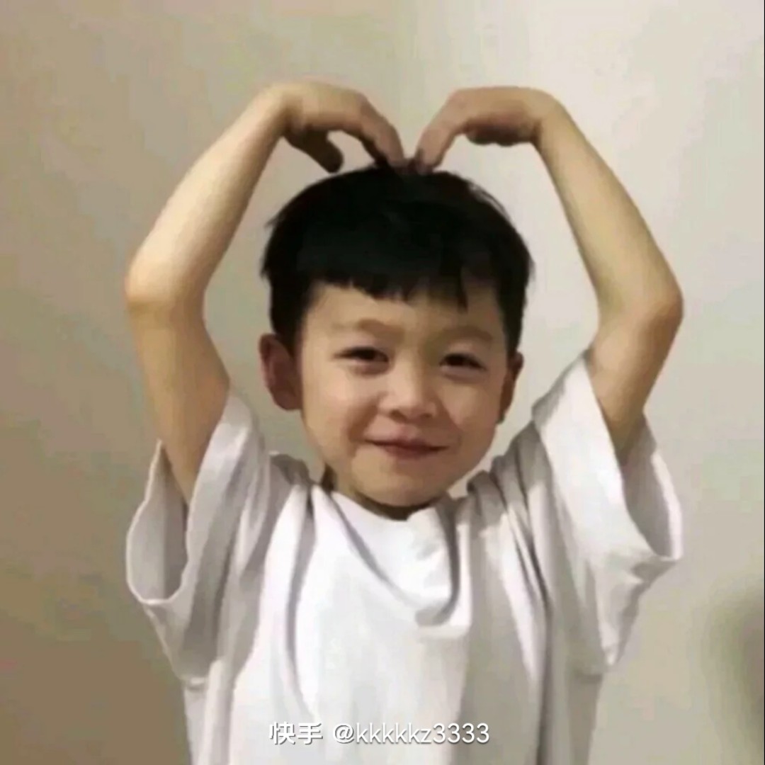 爱吃甘梅薯条的阿新