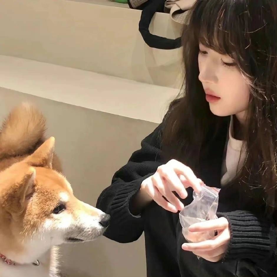 绵绵是只萌猫猫