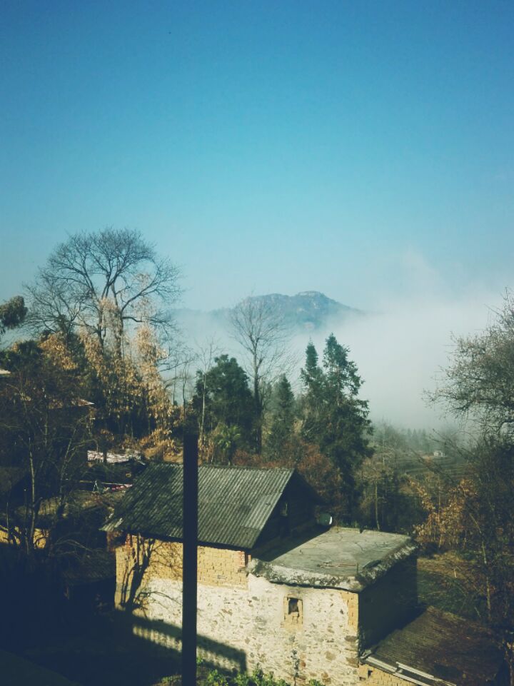 我大爷终究是我大爷