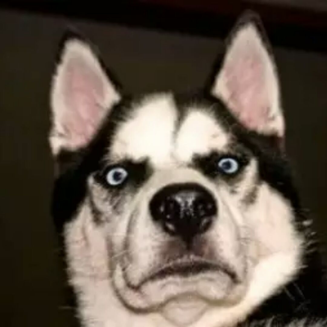 叶落知秋我知你