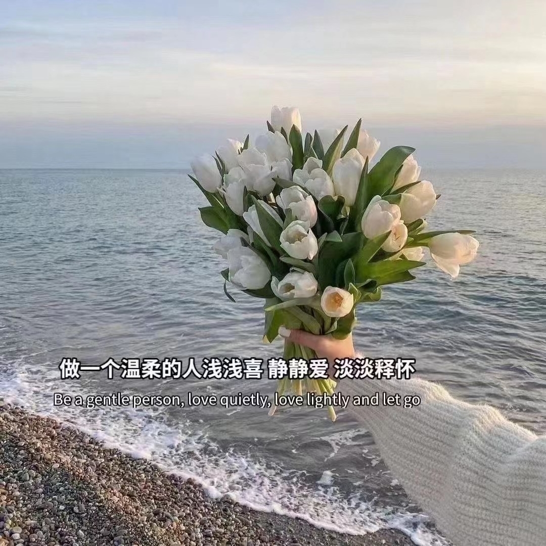 海洋星热情的状元