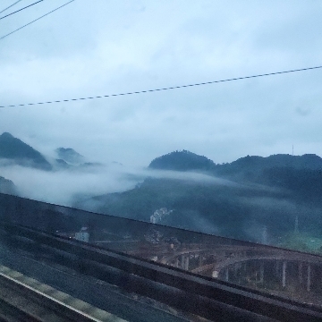 爱吃三丝蛋饼的啊呀呀