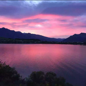 爱吃三元烧鸡的栀子花满舵