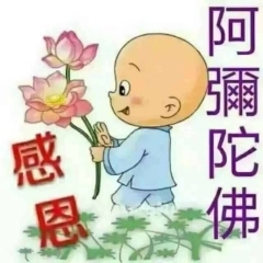 黑幽幽的桃