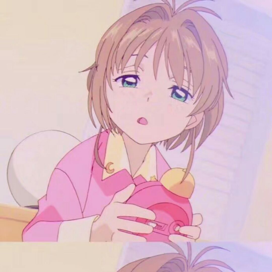 小橙子会算账喵咪