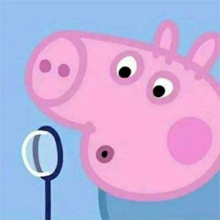 爱猪头的隔壁老王