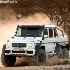 纯白色的莼兰绣球