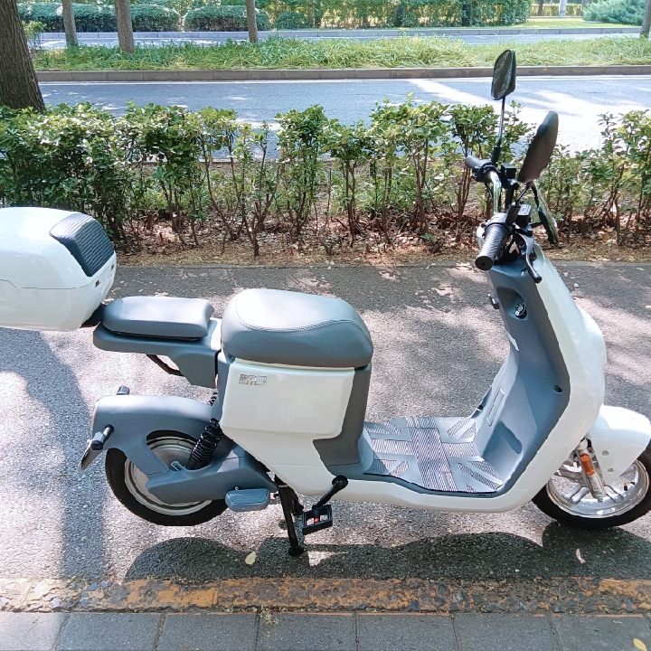 中蓝的亚当哈哈