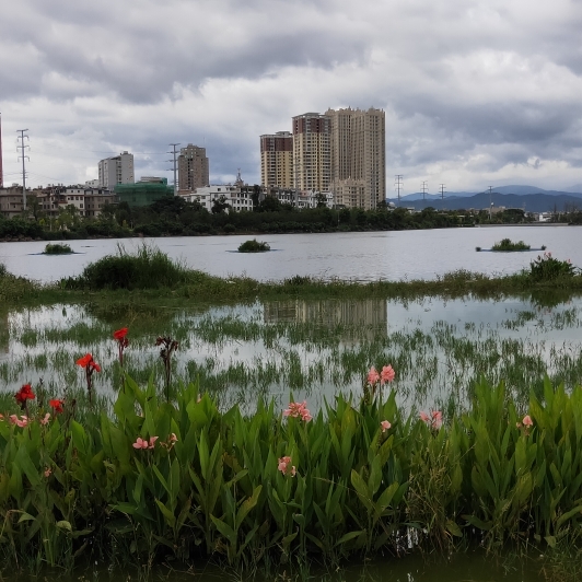 日久了生情。。