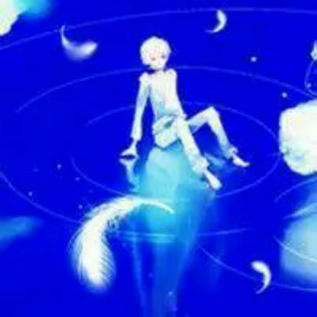 我在避风港等你