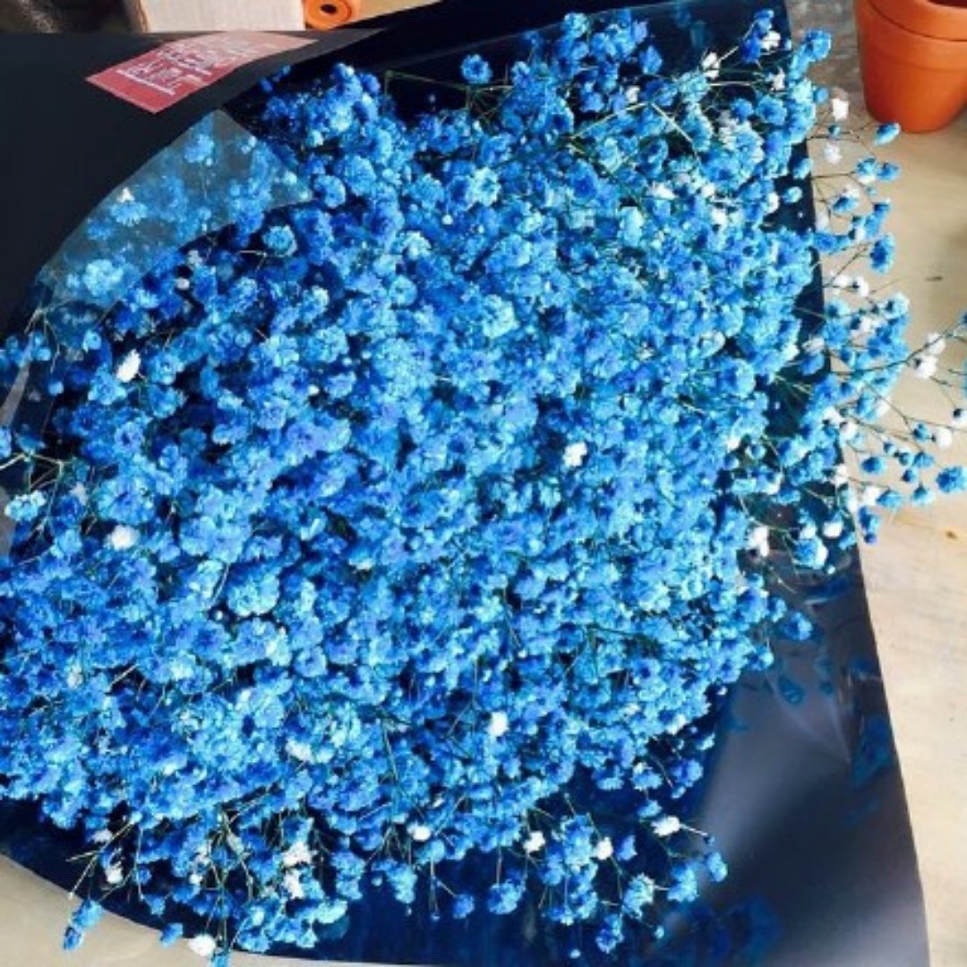 人生得意须尽欢爱追剧