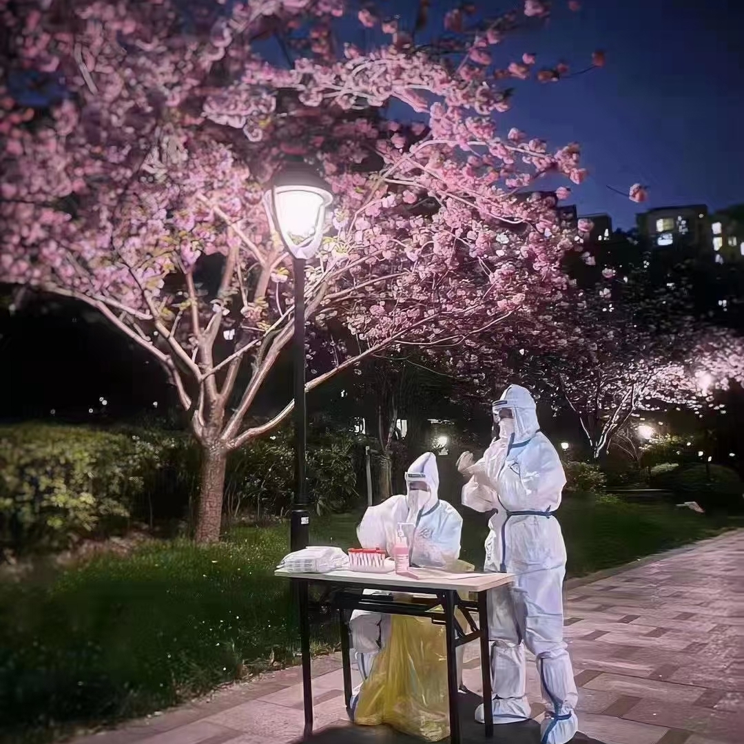 *^O^*※冰冰※*^O^*