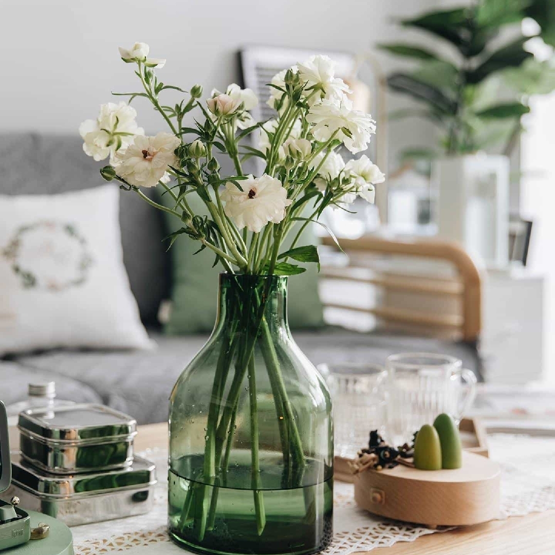 本白色的三角牡丹