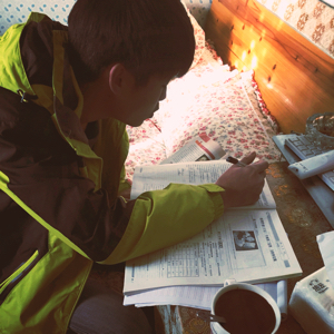 灰黄色的无尾水筛