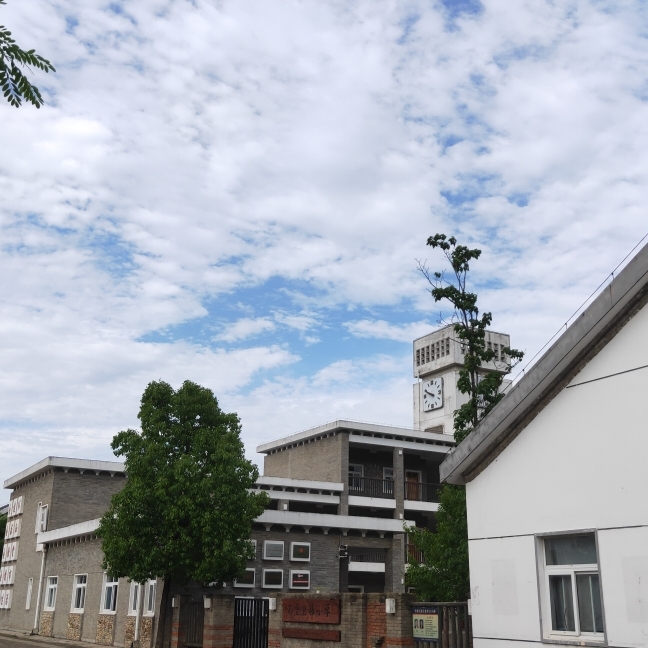 爱吃鲜肉馅饼的溜溜