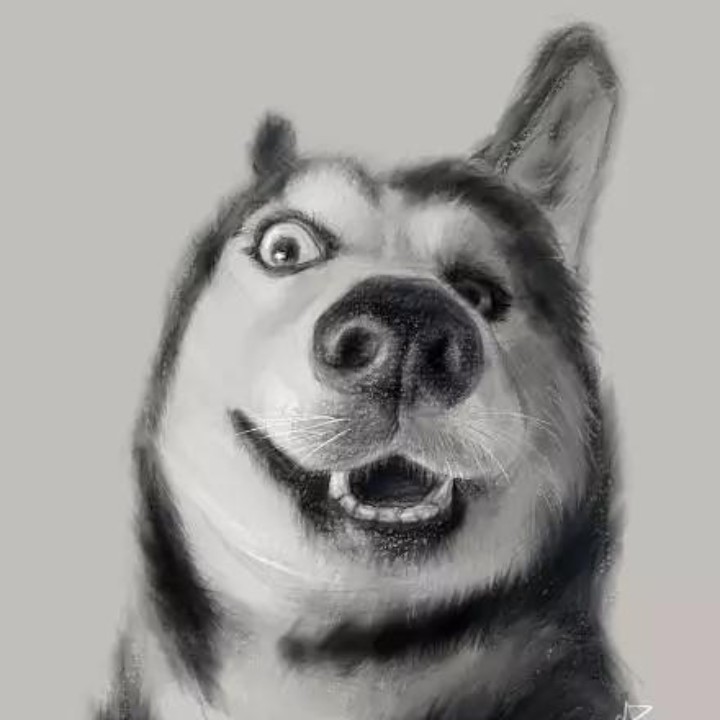 卡卡西雨果佳岁