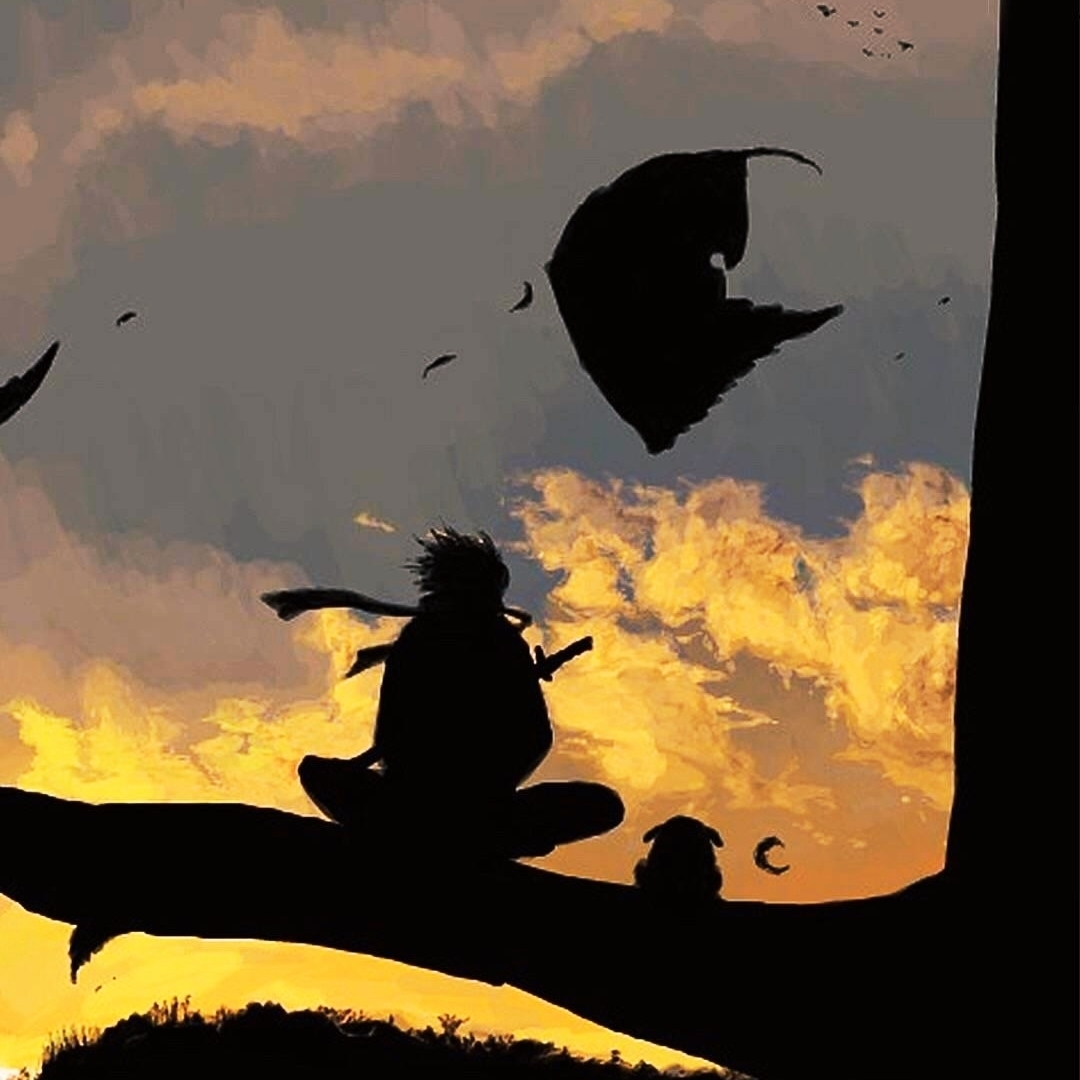 这个猪猪每天吃很多