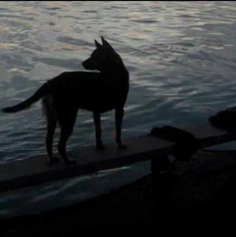 假如我是有钱人