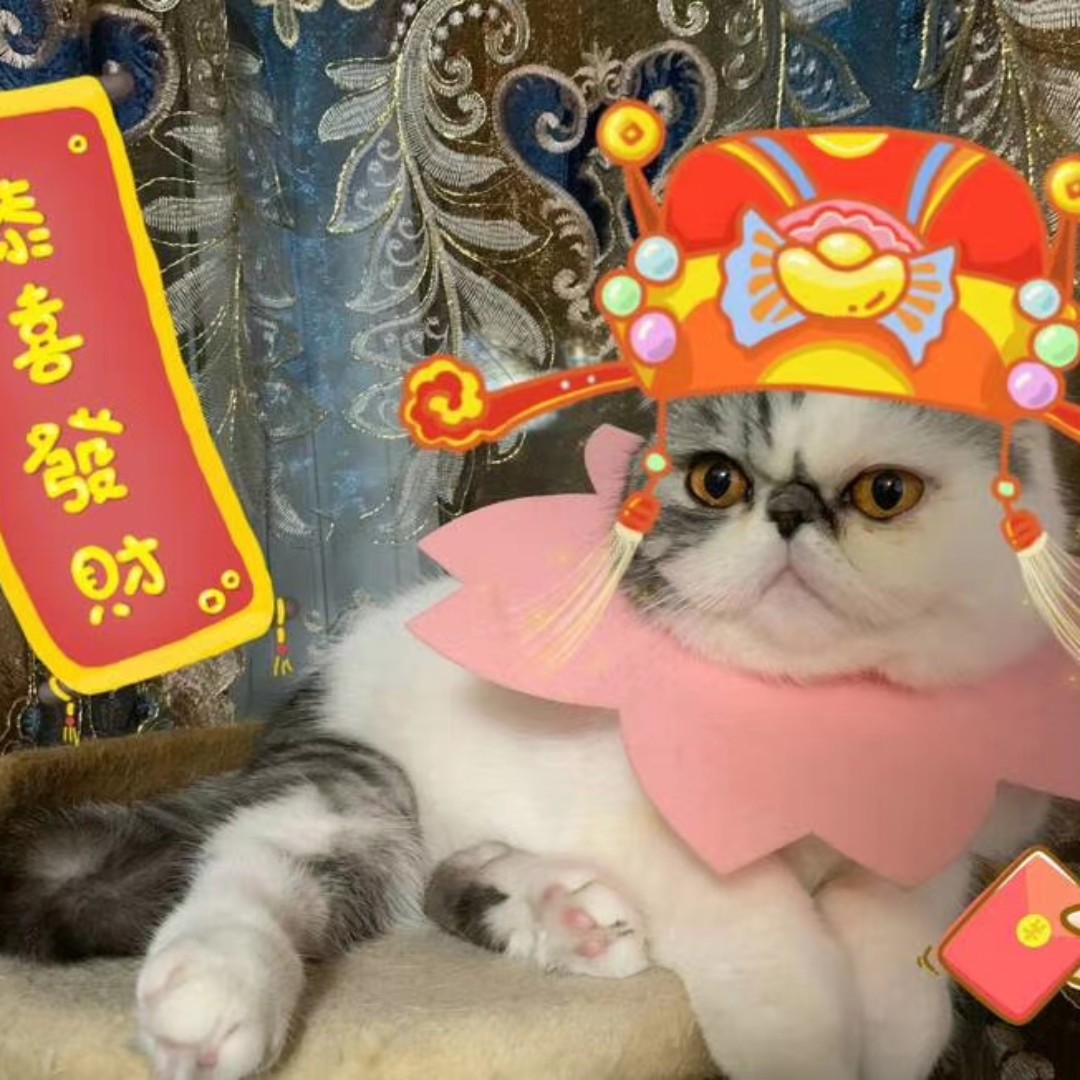 杰先森888要奋斗